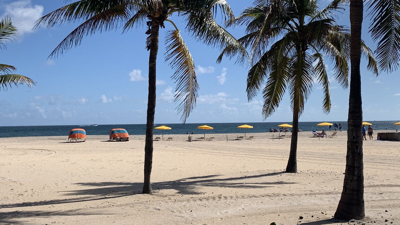 Photo of Others in Harbour Isles of Fort Lauderdale