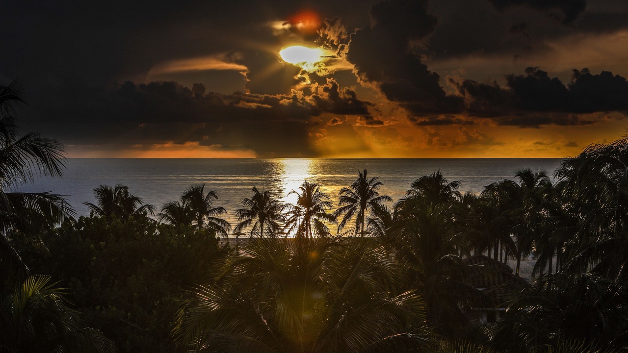 Photo of Others in Harbour Isles of Fort Lauderdale