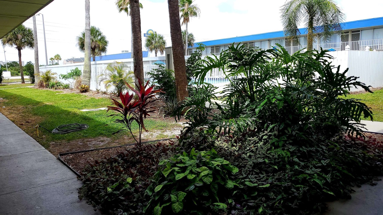 Photo of Outdoor in Titusville
