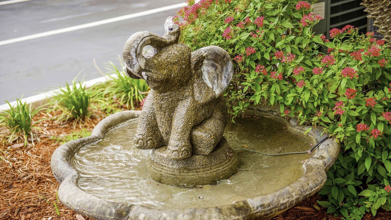 Photo of Outdoor in Virginia Park