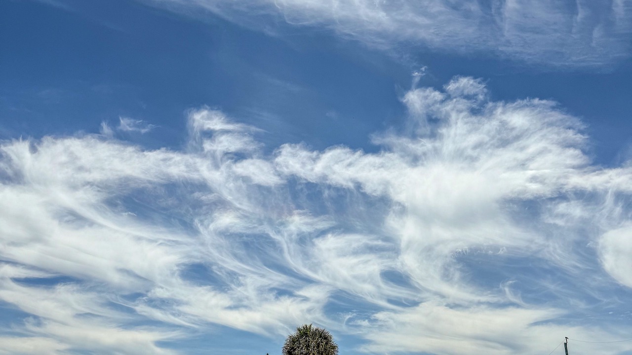 Photo of Outdoor in Indialantic