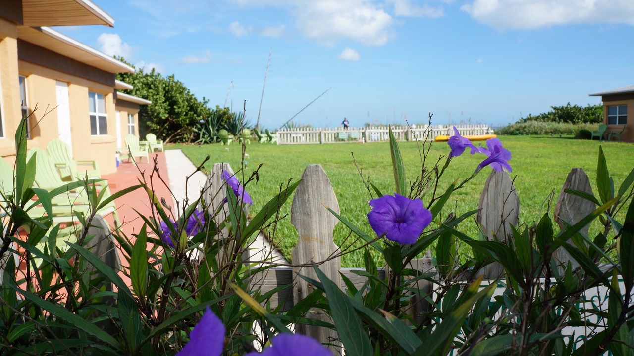 Photo of Outdoor in Indialantic