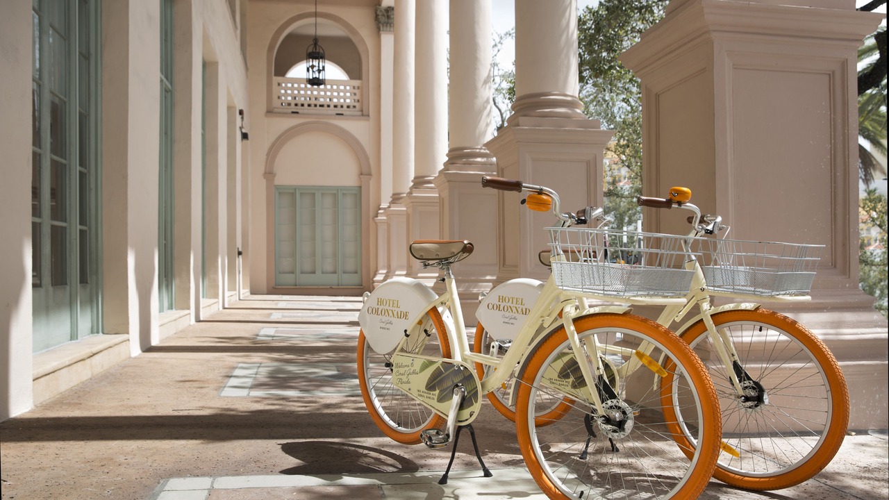 Photo of Outdoor in Coral Gables Section