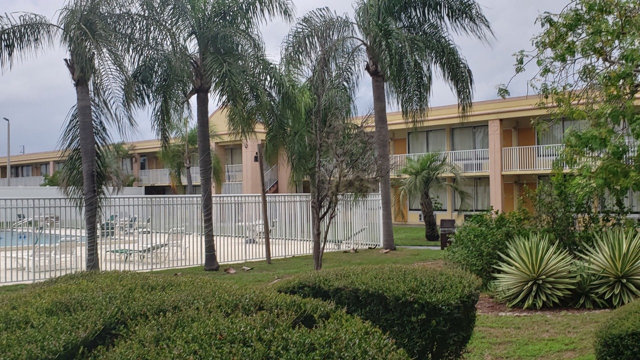 Photo of Outdoor in St. Petersburg - Clearwater