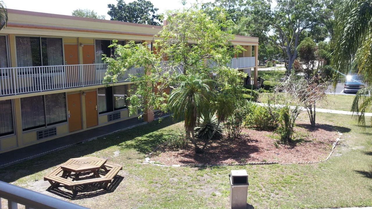 Photo of Outdoor in St. Petersburg - Clearwater