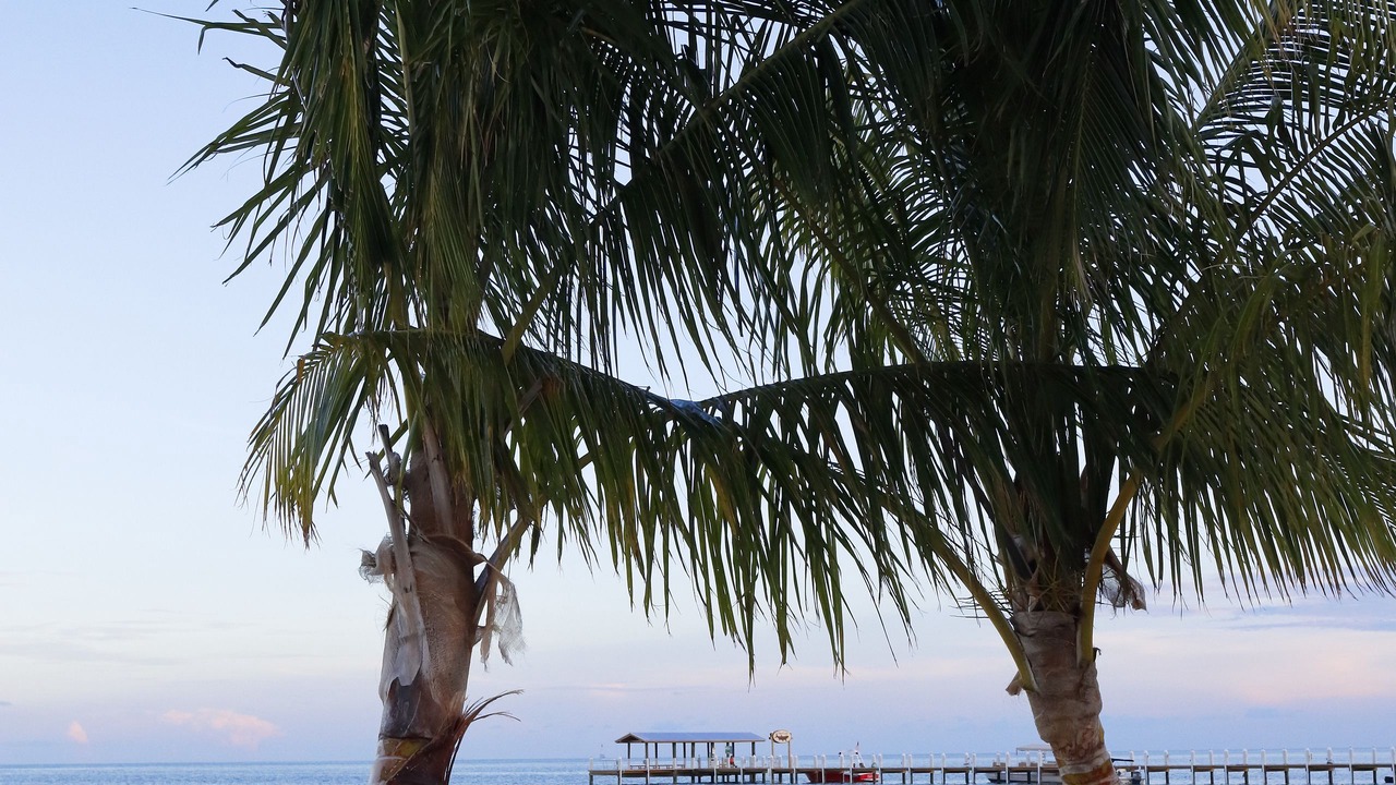 Photo of Others in Islamorada