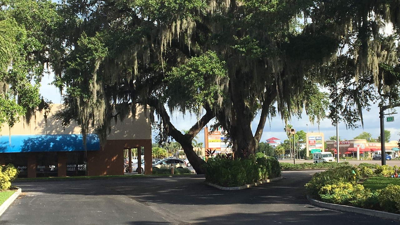 Photo of Outdoor in Port Charlotte