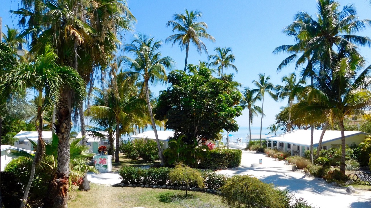 Photo of Outdoor in Islamorada