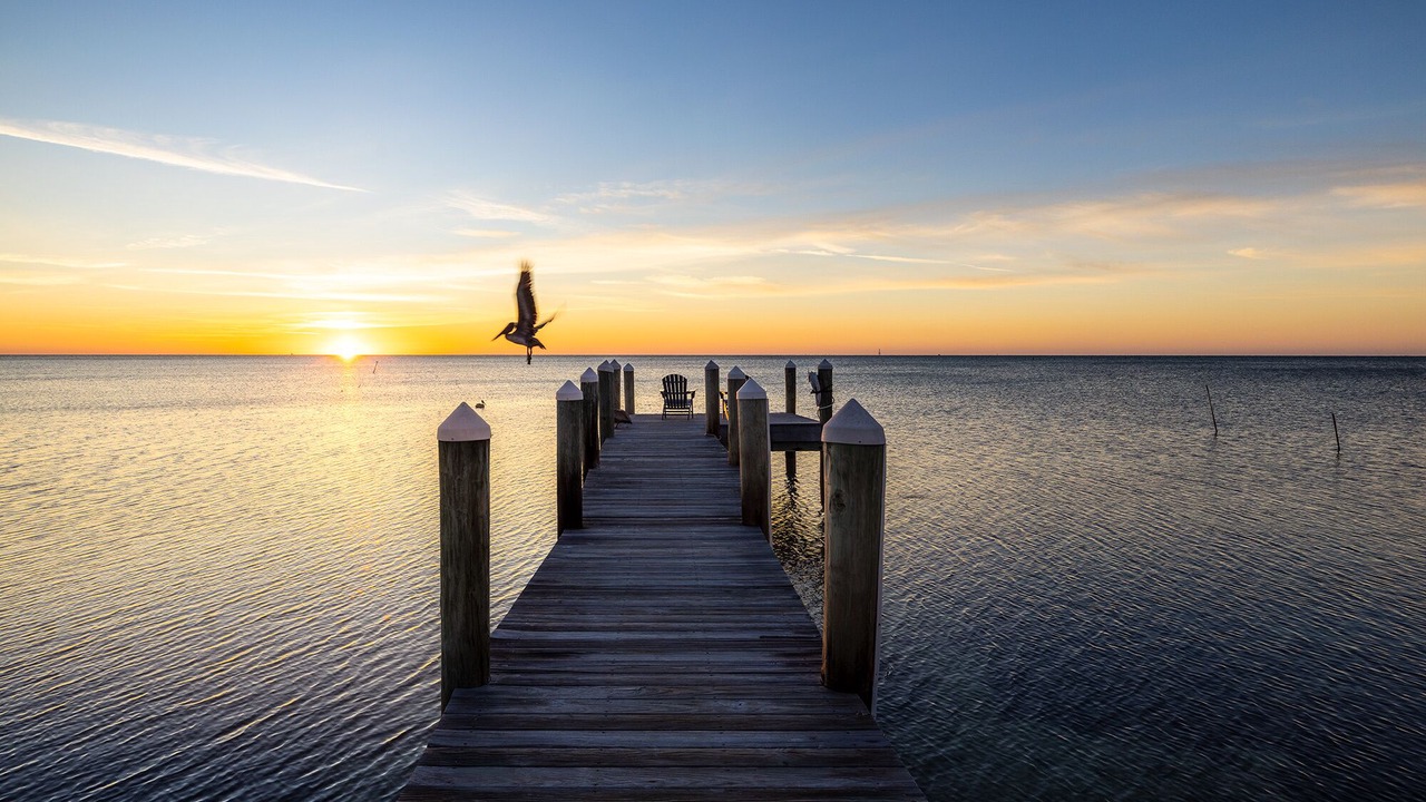 Photo of Others in Islamorada