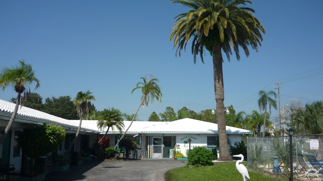 Photo of Outdoor in Dunedin