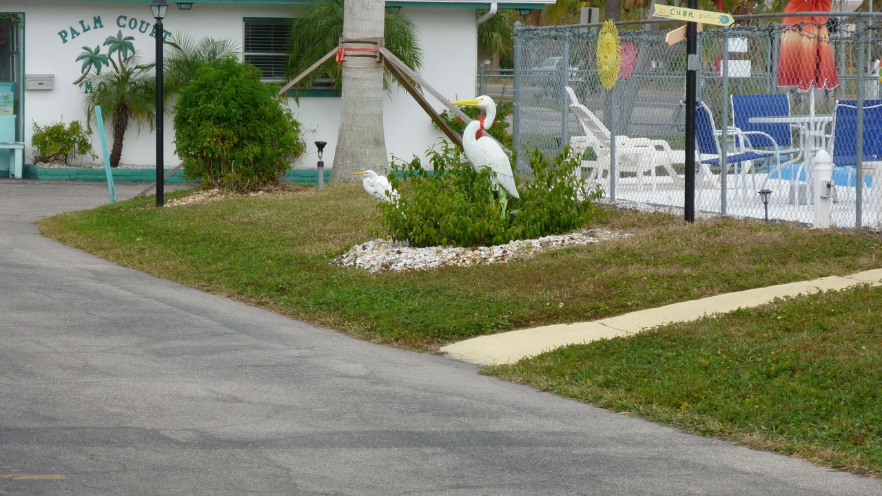 Photo of Outdoor in Dunedin