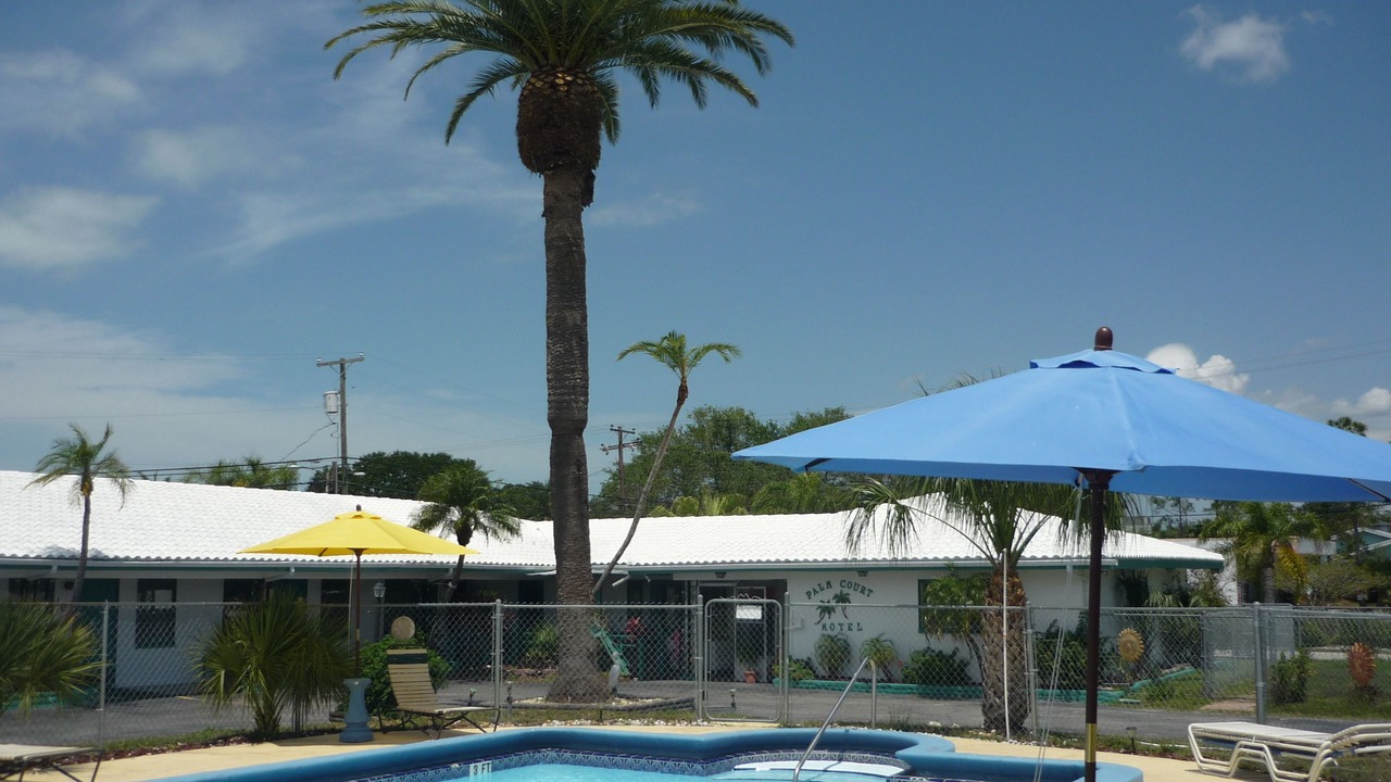 Photo of Outdoor in Dunedin