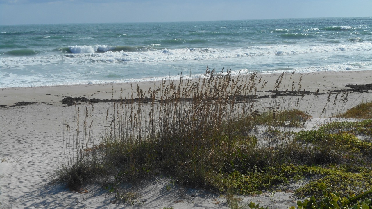 Photo of Others in Indialantic By The Sea
