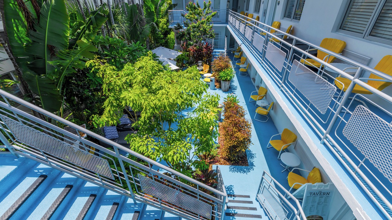 Photo of Outdoor in North Beach
