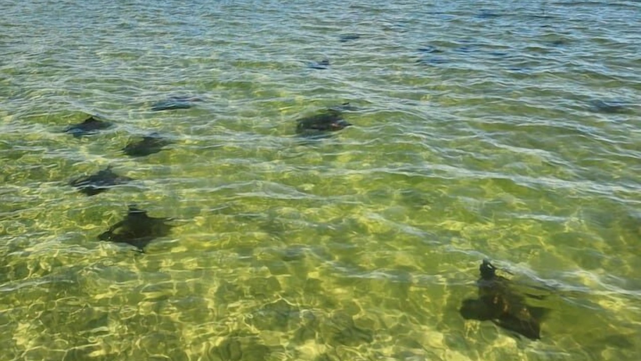 Photo of Others in Wewahitchka