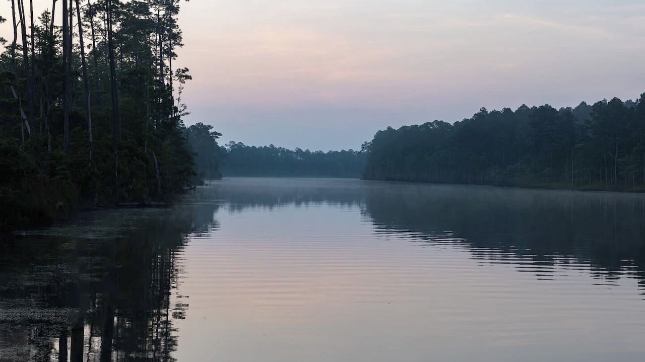 Photo of Others in Wewahitchka
