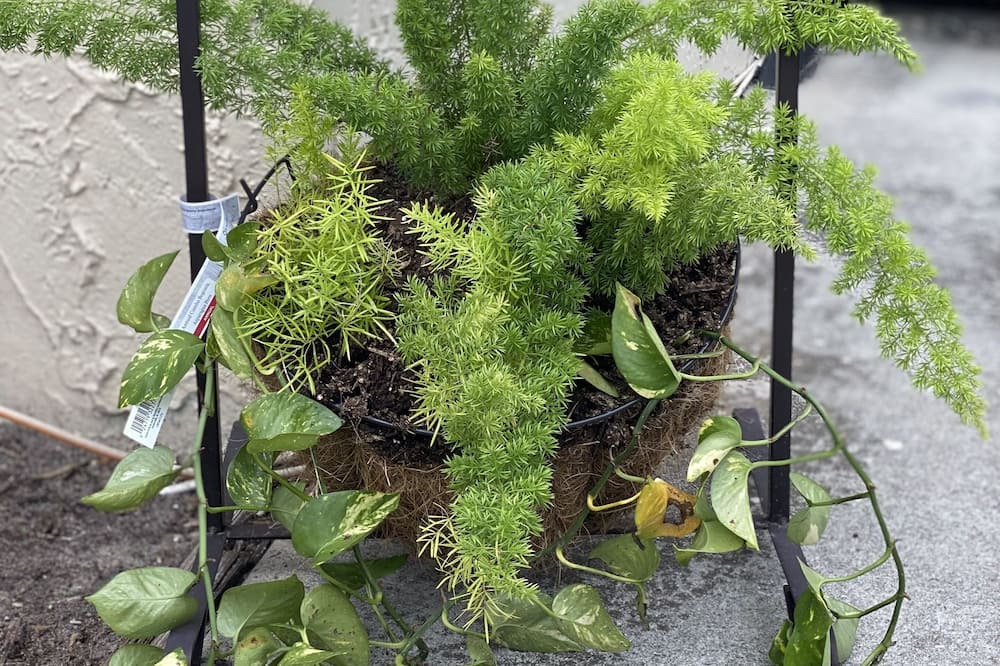 Photo of Outdoor in Port Tampa City