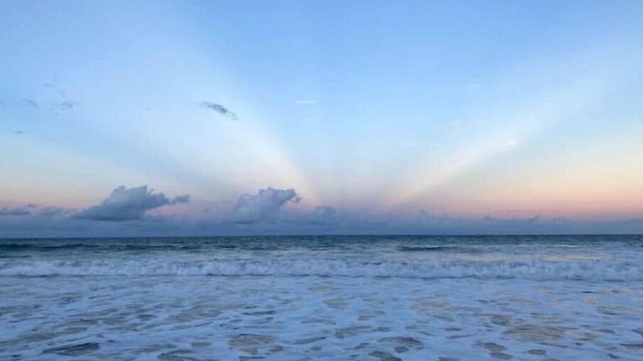 Photo of Others in Seacoast Shores