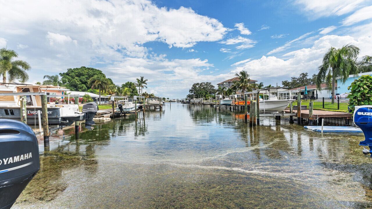 Photo of Others in Coquina Key