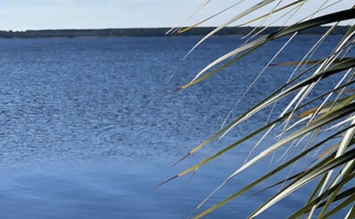 Photo of Others in Ochlockonee Bay