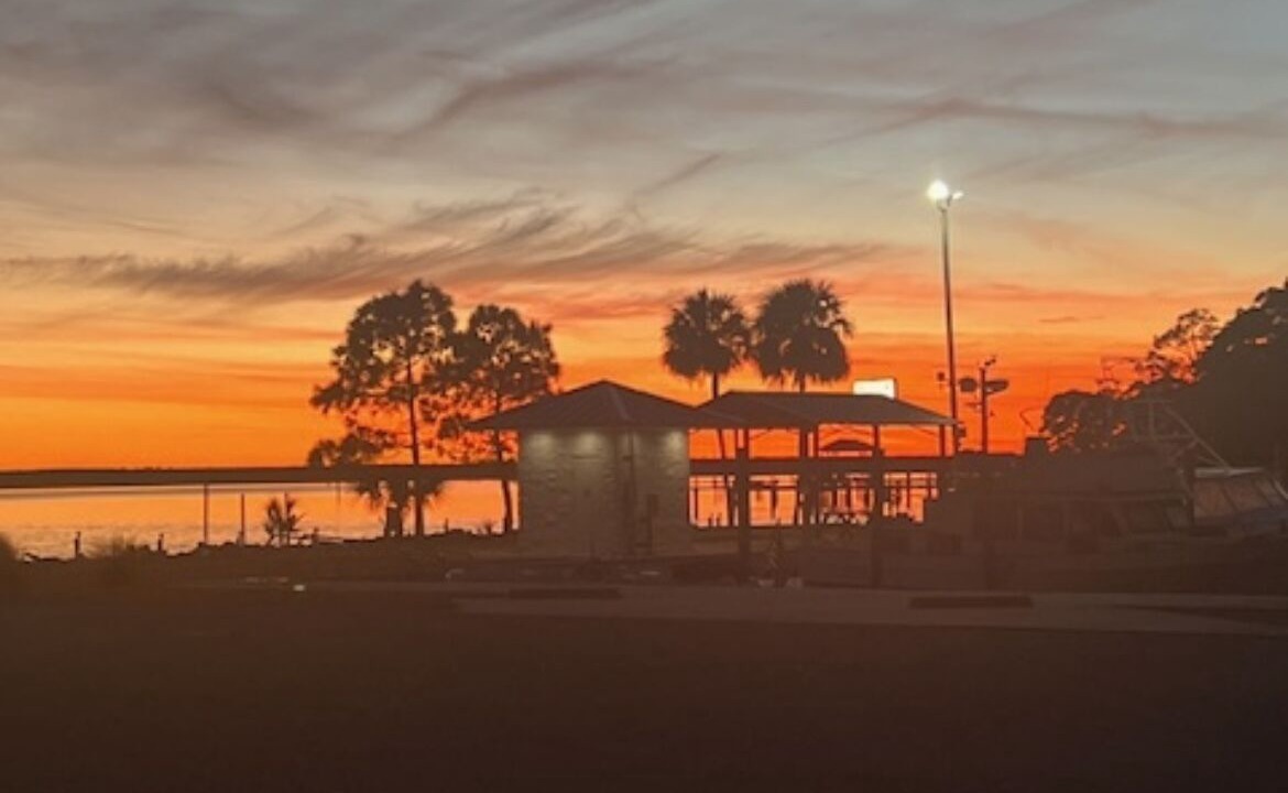 Photo of Others in Ochlockonee Bay