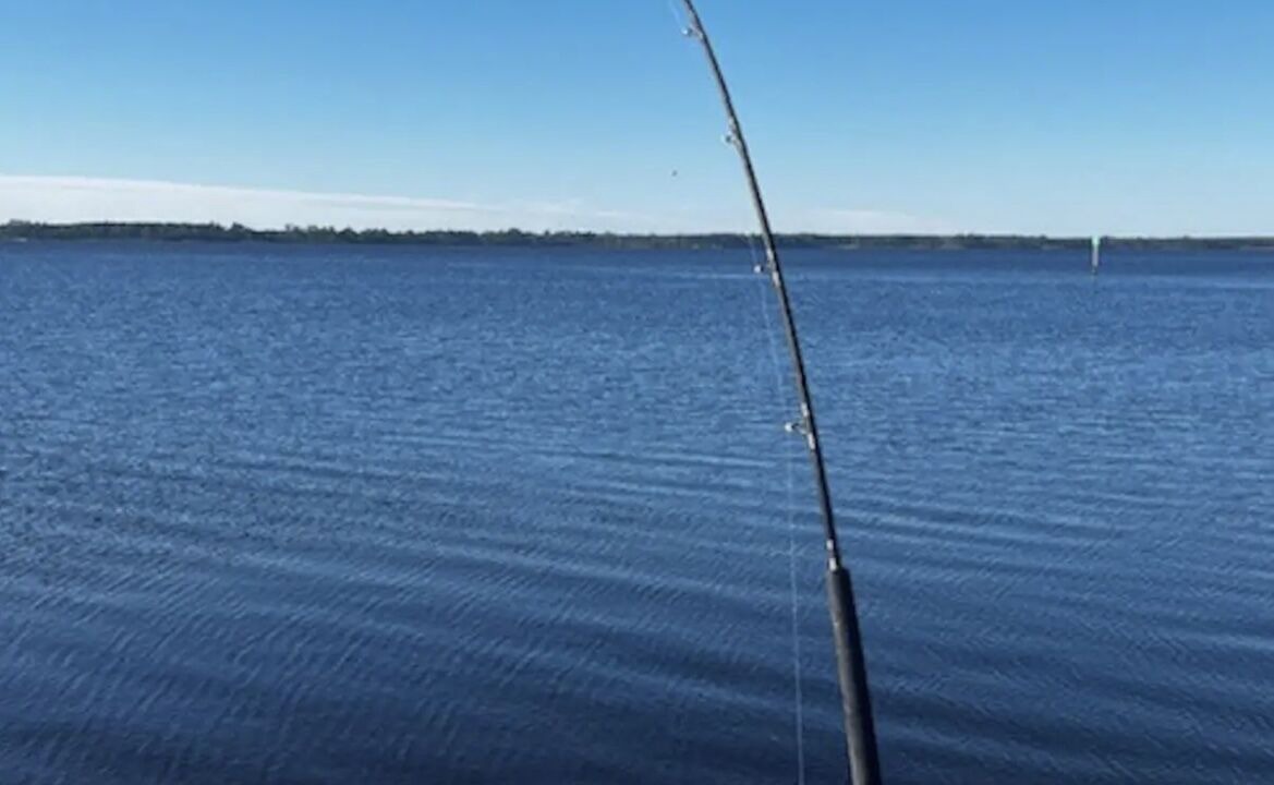 Photo of Others in Ochlockonee Bay