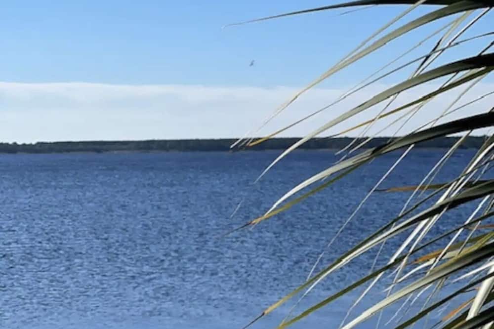 Photo of Others in Ochlockonee Bay