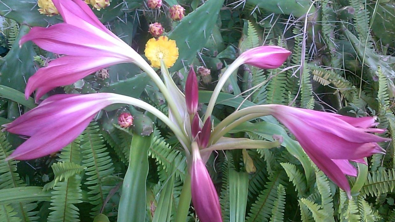 Photo of Outdoor in Carrabelle