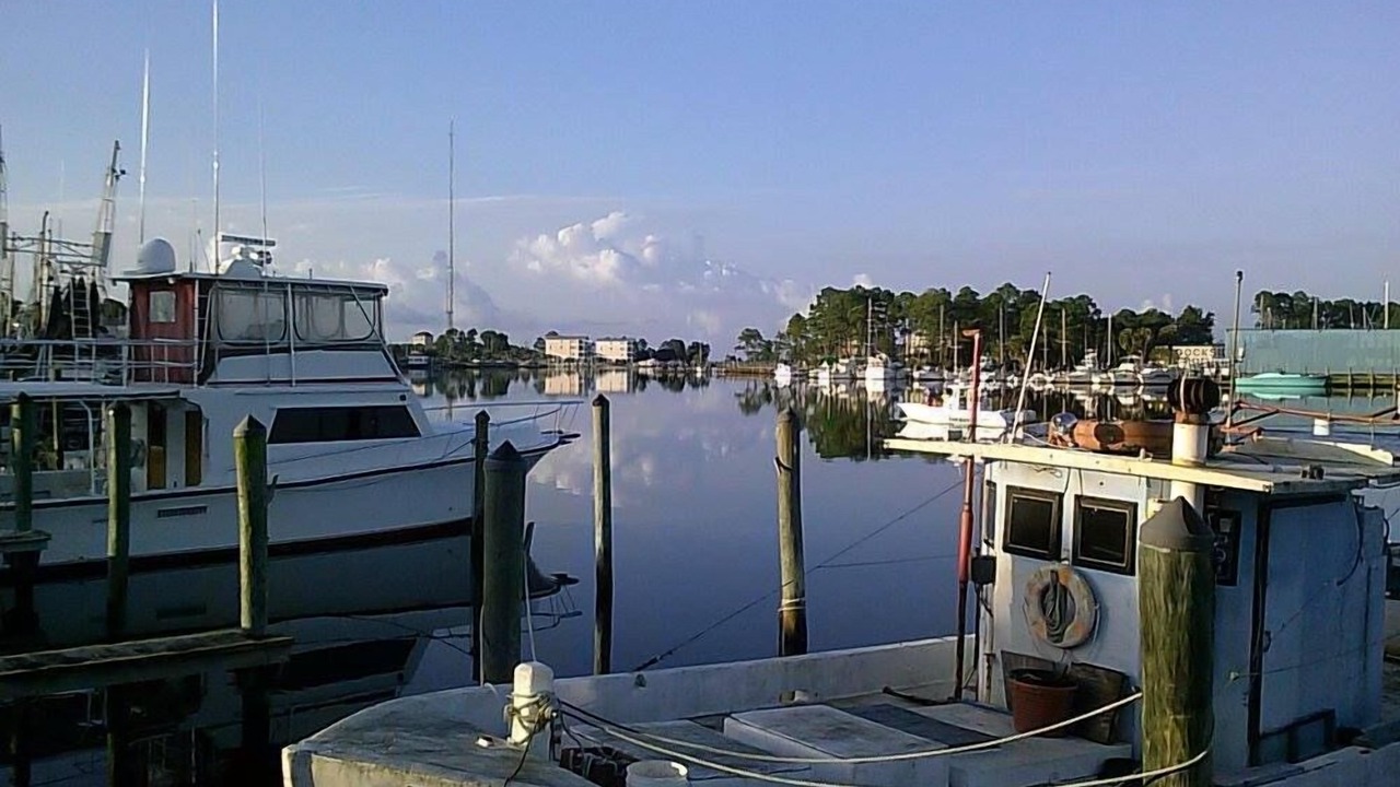Photo of Others in Carrabelle