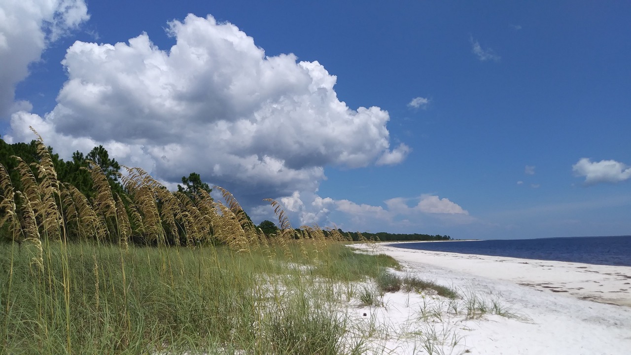 Photo of Others in Carrabelle
