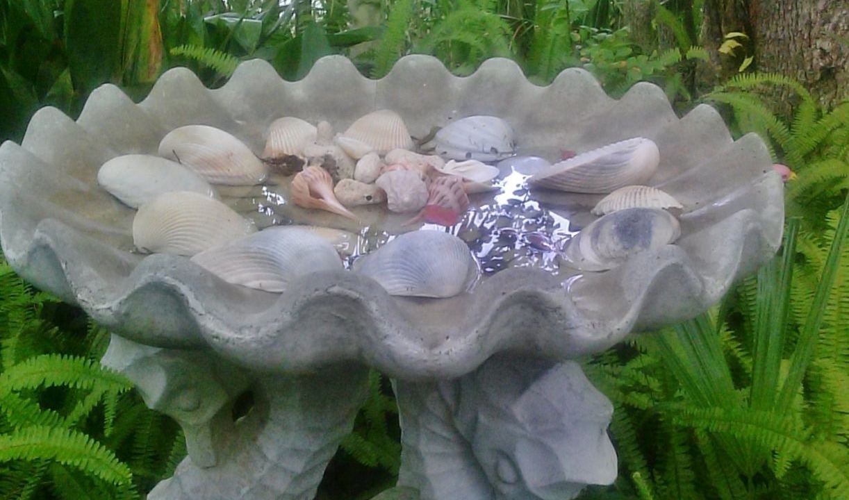 Photo of Outdoor in Carrabelle