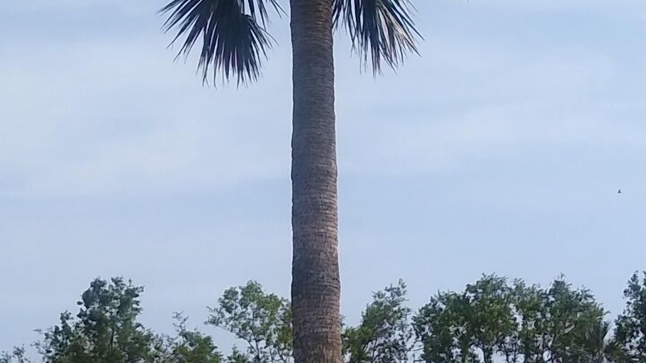 Photo of Outdoor in Pensacola