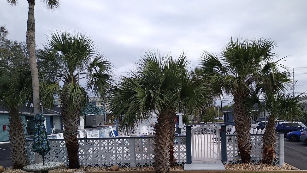 Photo of Outdoor in Pensacola