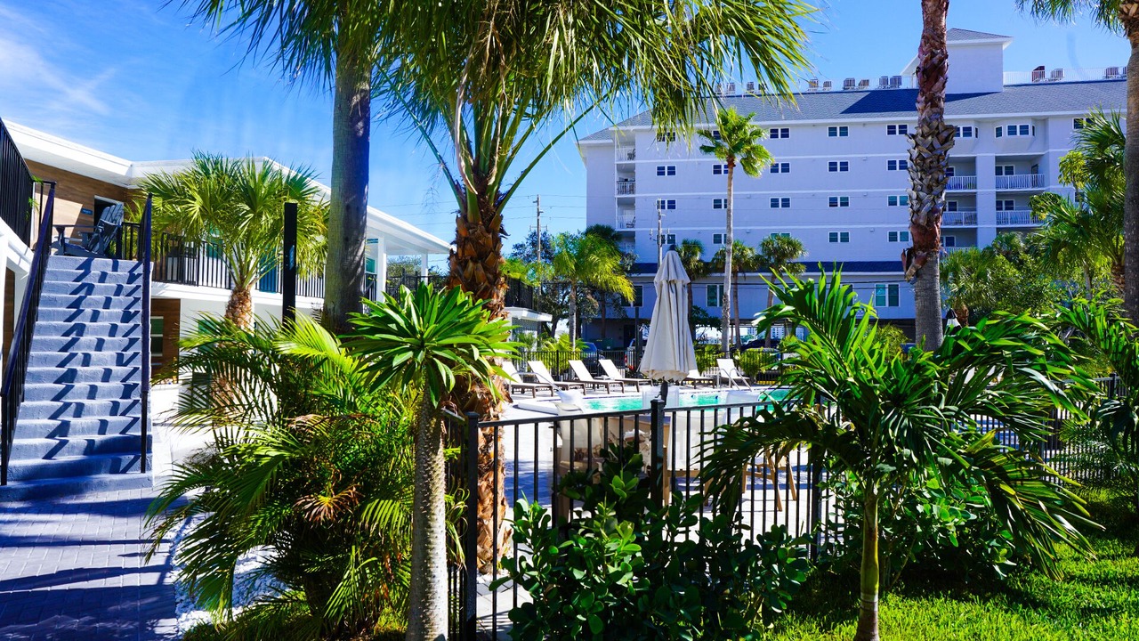 Photo of Outdoor in Clearwater Beach