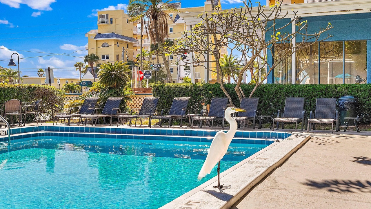 Photo of Outdoor in North Redington Beach