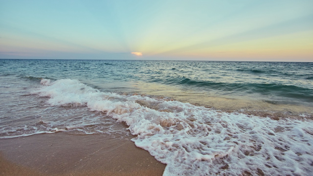Photo of Others in Lauderdale-by-the-Sea