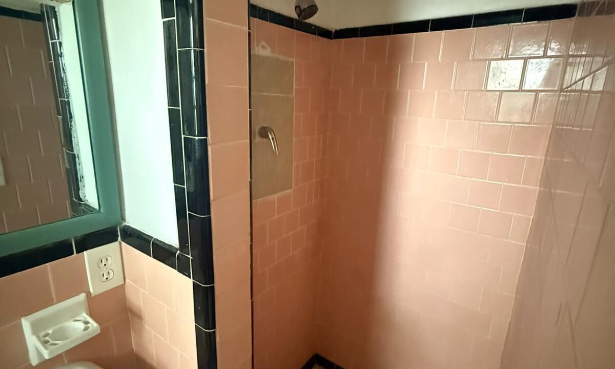 Photo of Bathroom in Old Seminole Heights