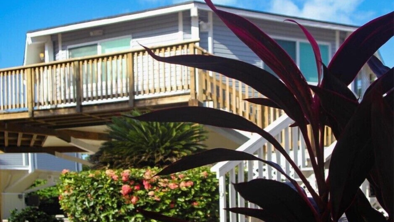 Photo of Outdoor in Islamorada