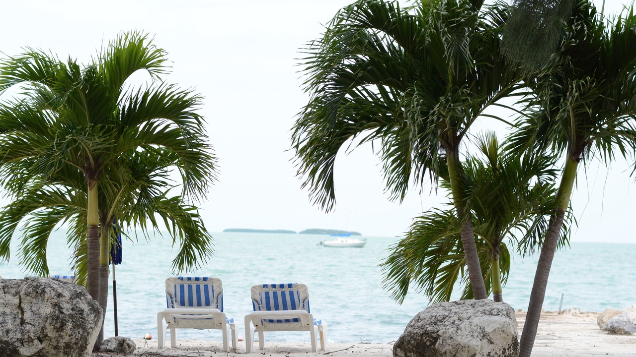 Photo of Others in Islamorada