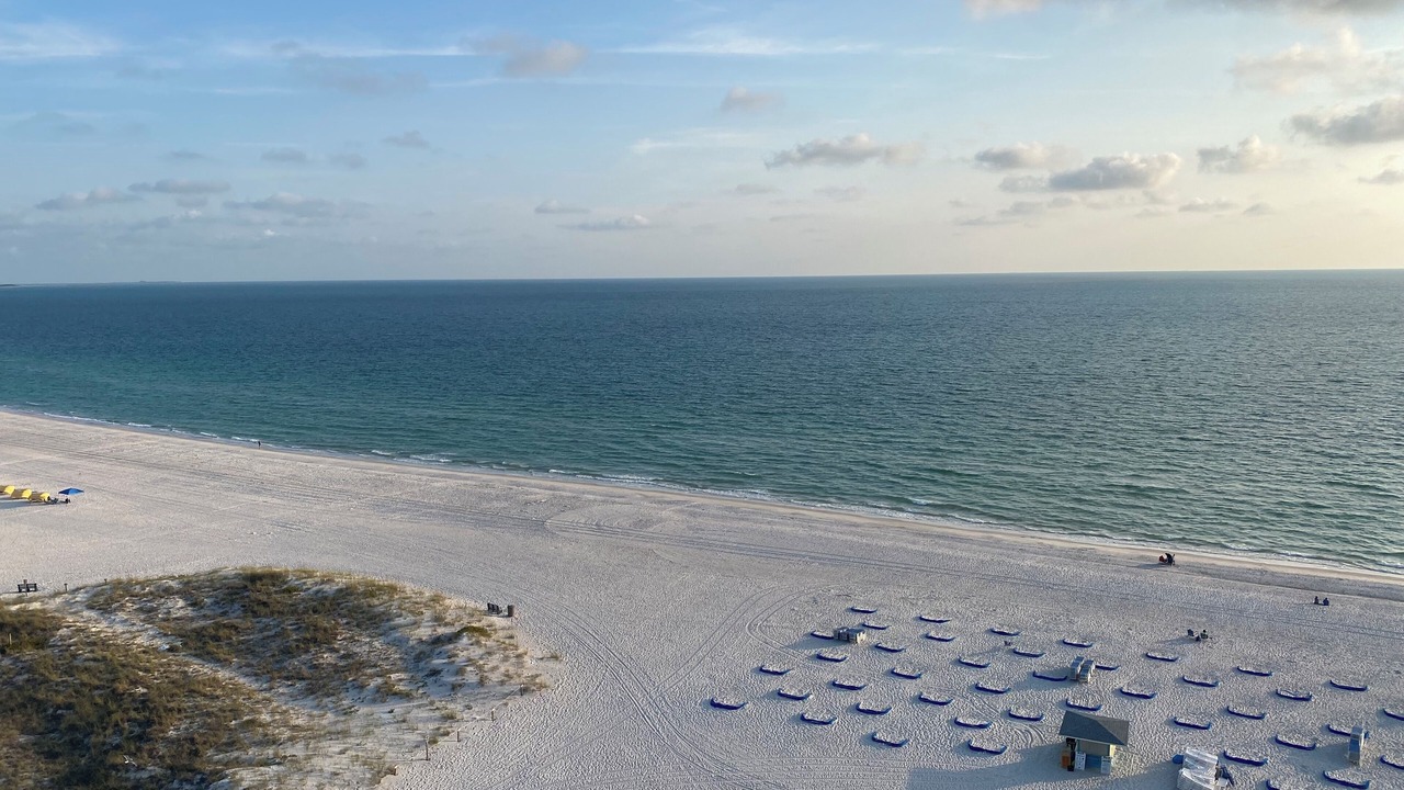 Photo of Others in St. Pete Beach
