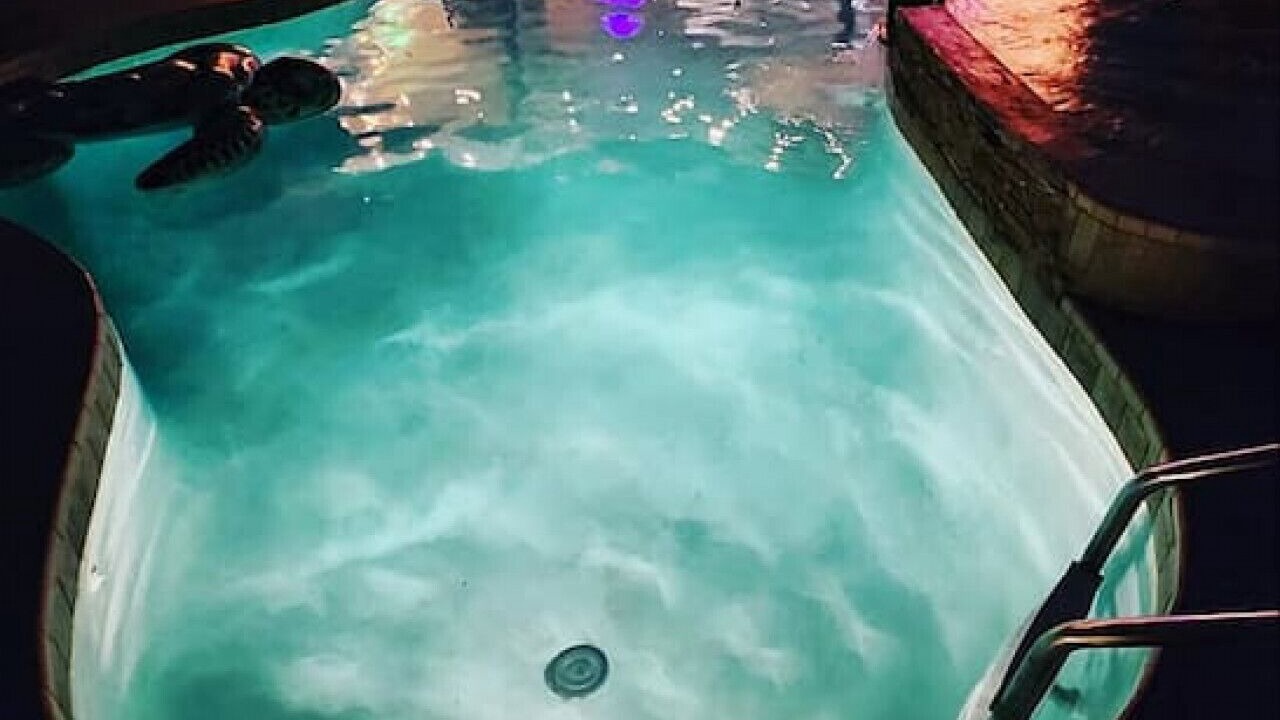 Photo of Outdoor in Cypress Lake
