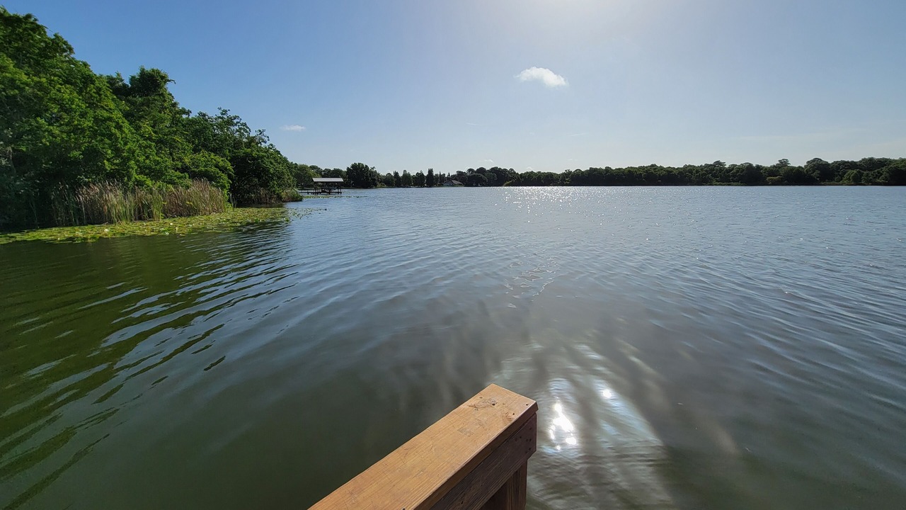 Photo of Others in Cypress Gardens