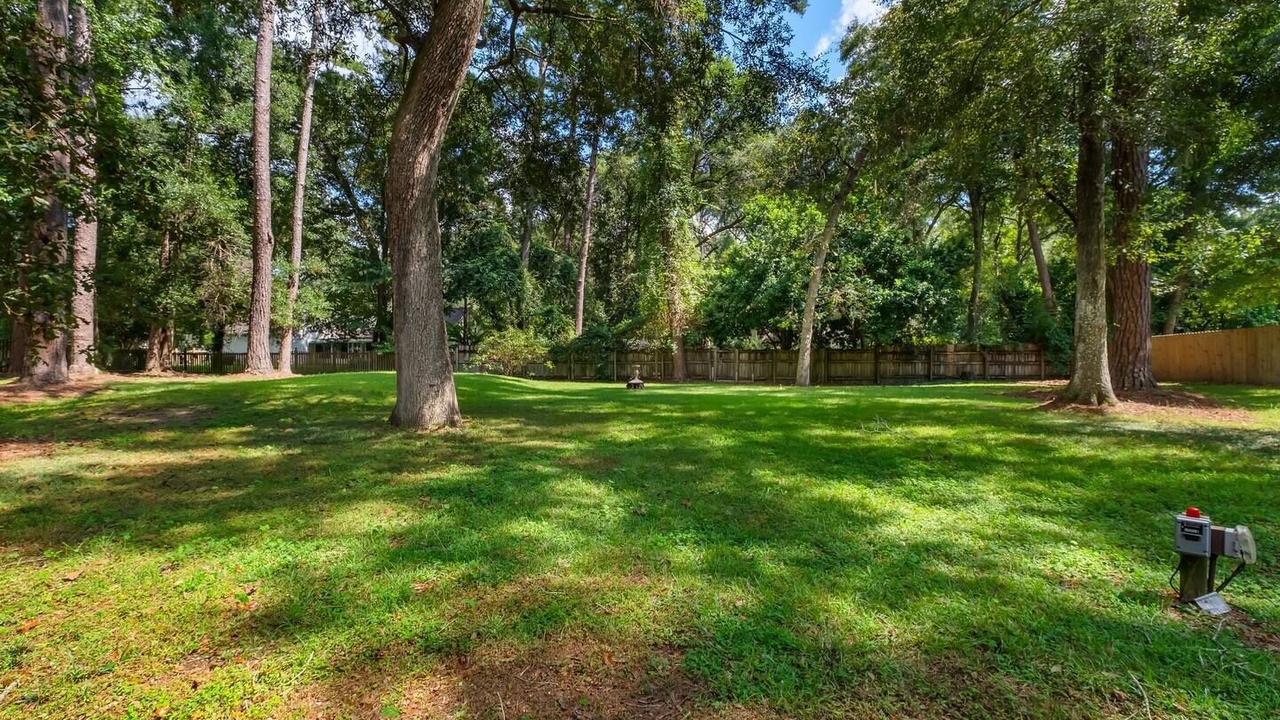 Photo of Others in Tallahassee