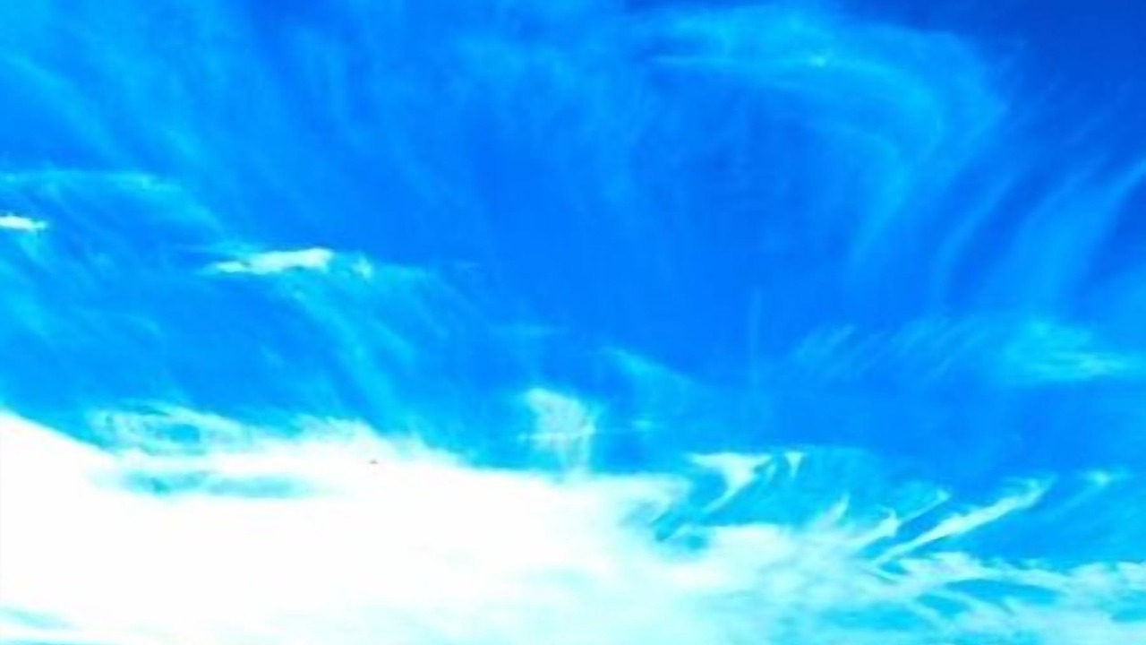 Photo of Others in Rocky Point
