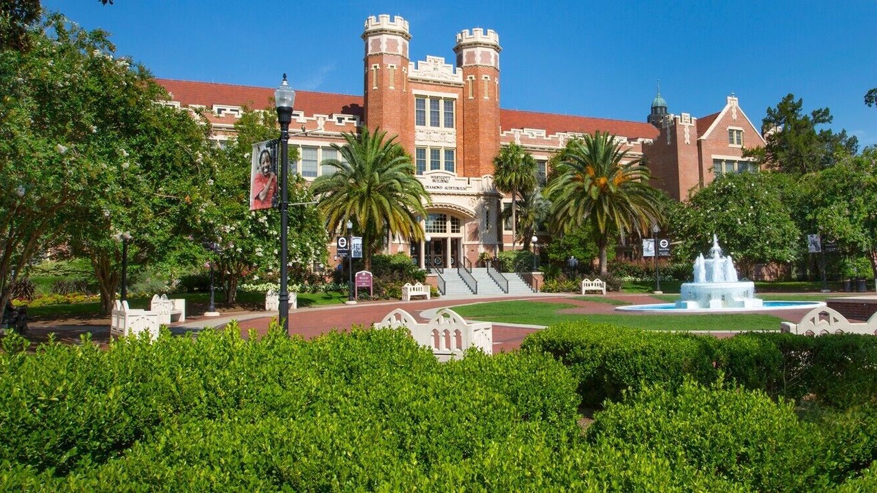 Photo of Others in Tallahassee
