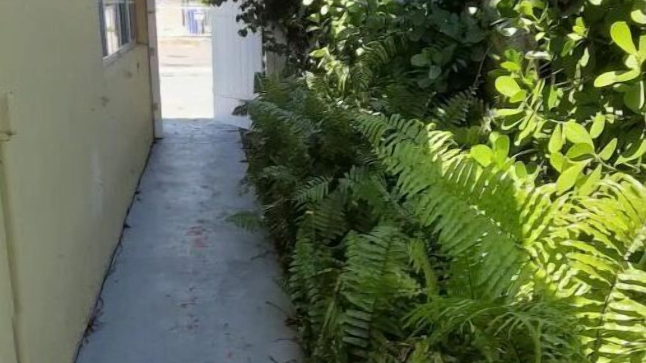 Photo of Outdoor in Flagami
