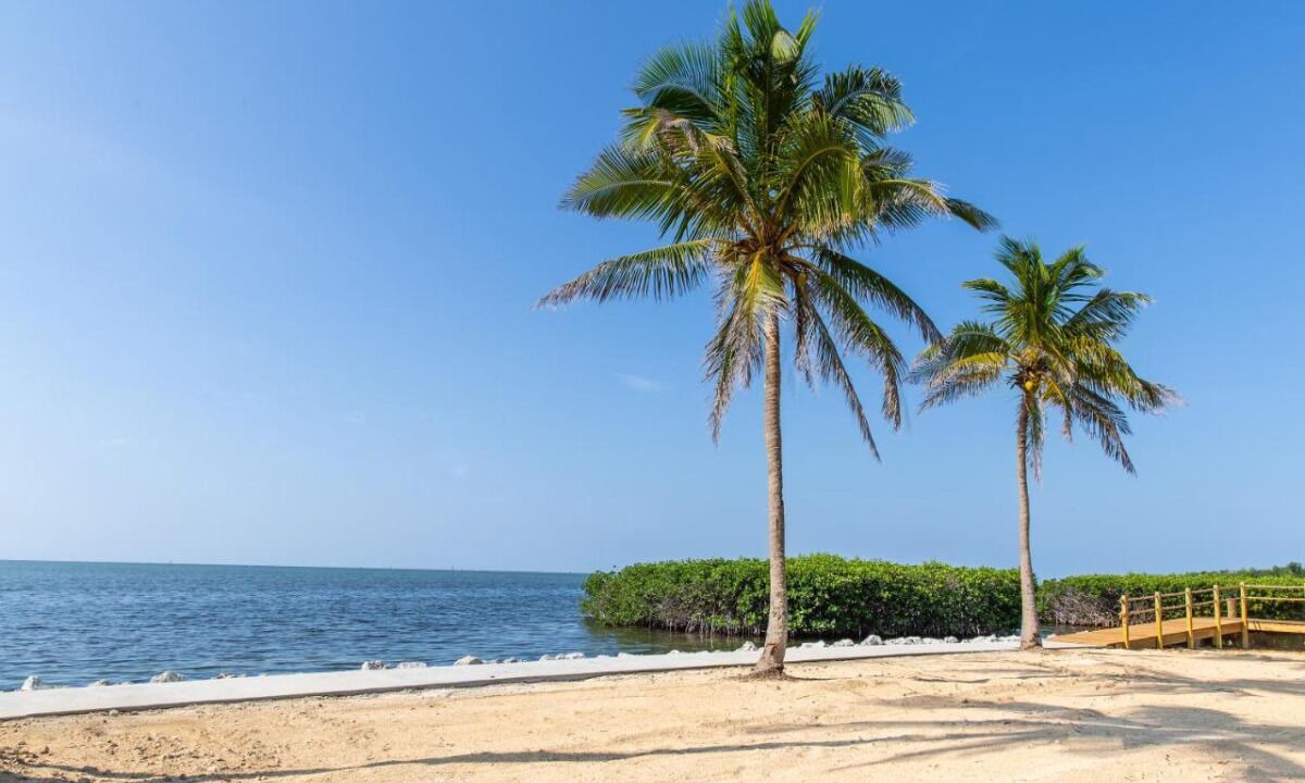Photo of Others in Islamorada