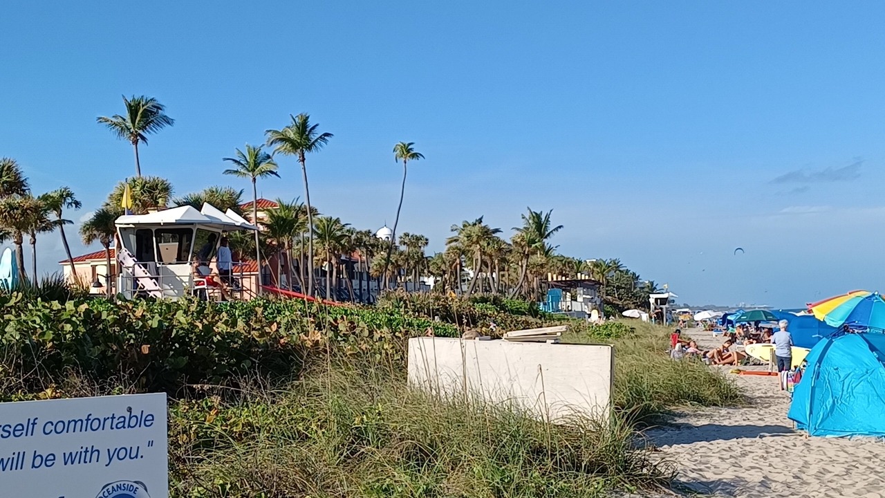 Photo of Others in Mango Groves
