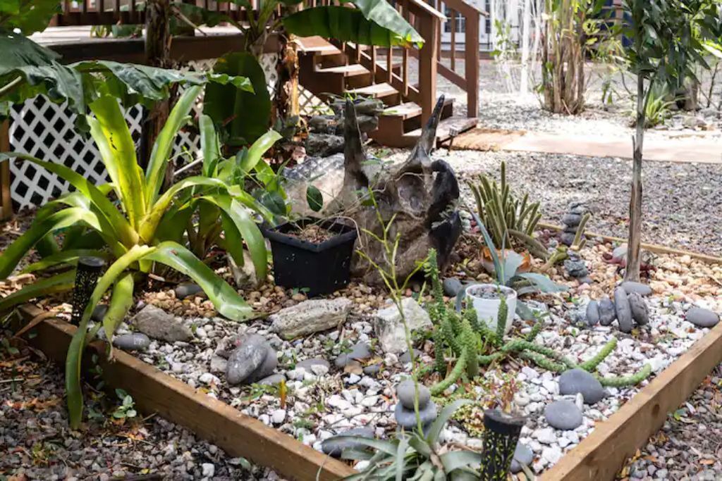 Photo of Outdoor in Ybor City