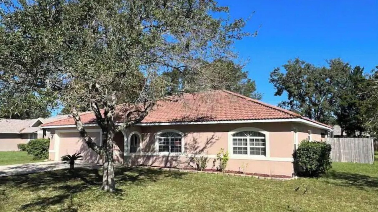 Photo of Outdoor in Palm Coast